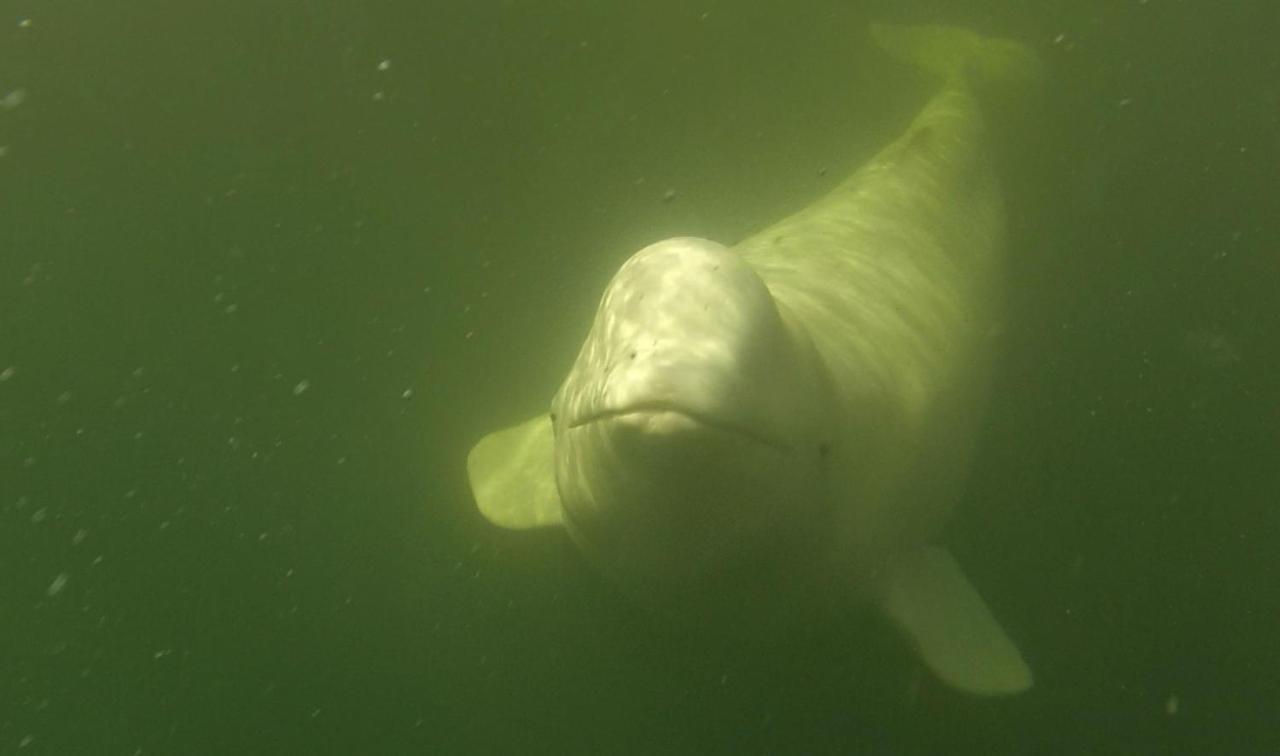 Beluga Beach House Churchill Eksteriør bilde